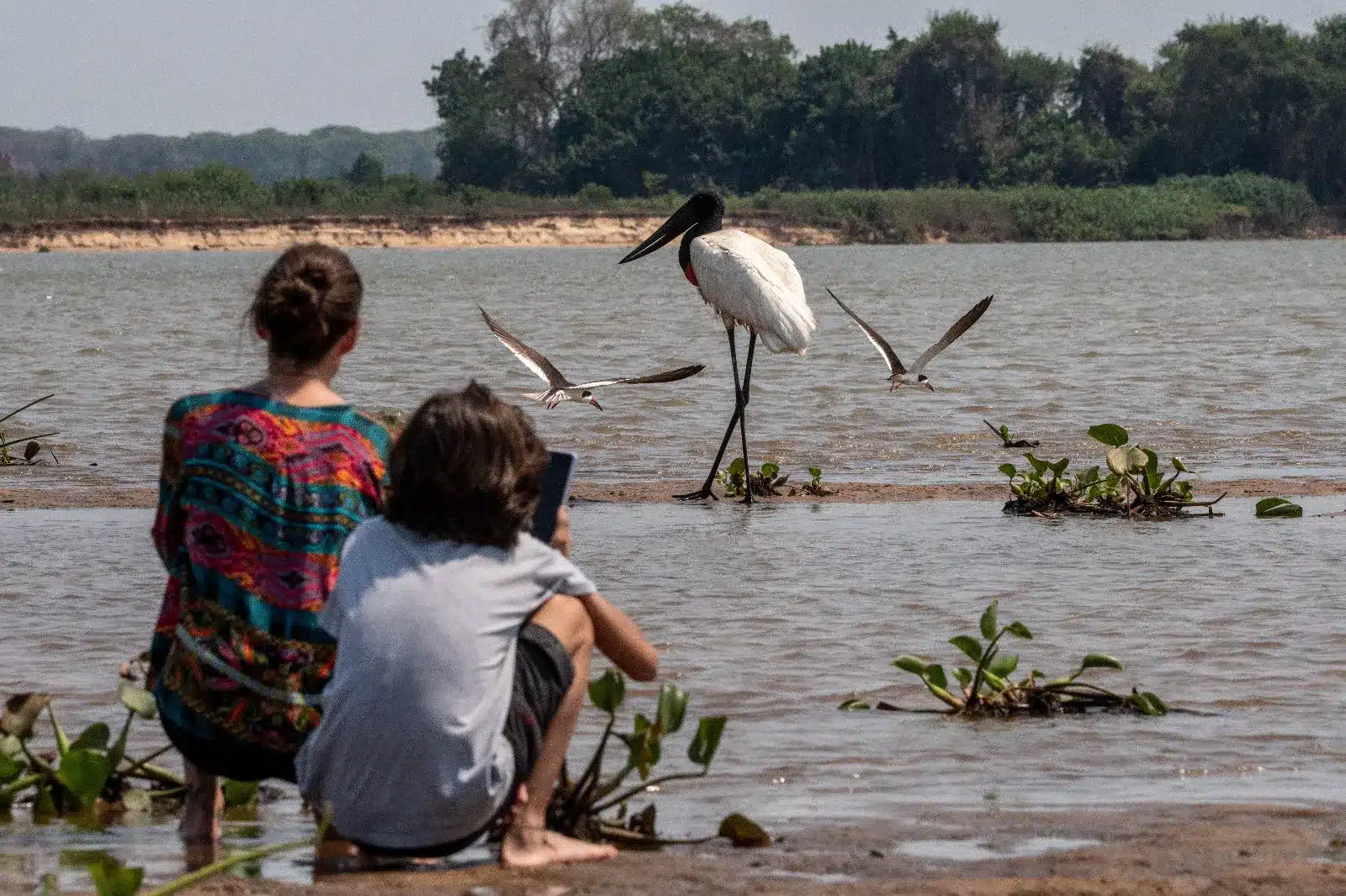 NPC - North Pantanal Cruise (Fred Crema) (8) copiar