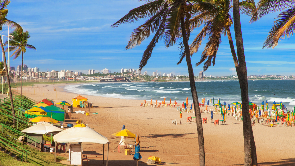 Bahia - Brasil DNA 2026 (15)