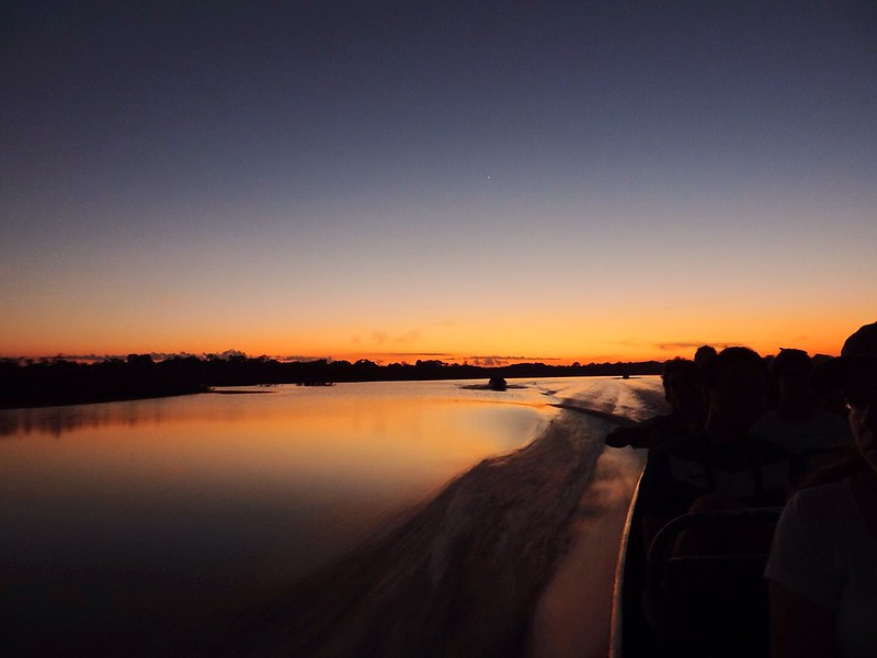 Flavors of the Amazon – The cultural richness and tastes of Amazonian cuisine
