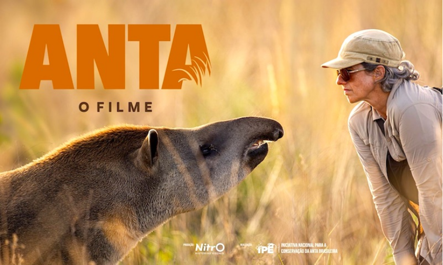 Pantanal Negro and Anta – The Film reinforce the Pantanal as a land of biodiversity, memory and identity